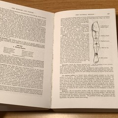 Gray’s Anatomy: The Unabridged Running Press Edition of the American Classic….