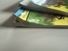 A Beka 1st Grade Animals in the Great Outdoors Set – Teacher and Student Books