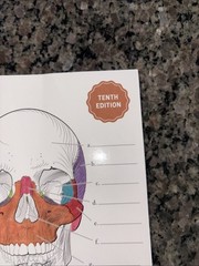 Kaplan Anatomy Coloring Book 10th Edition