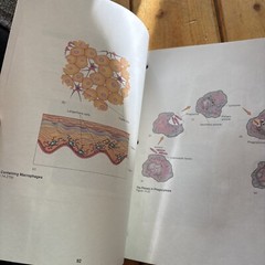 Foundations in Microbiology Student Study Art Notebook
