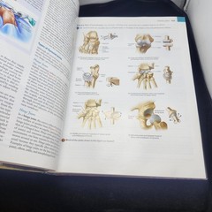 Principles of Human Anatomy, 11th Edition by Gerard J. Tortora and Mark T. Niels