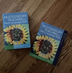 Multisensory Teaching of Basic Language Skills by Suzanne Carreker, Graham..