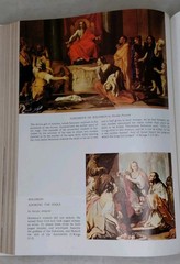 White Holy Bible The New American Bible Catholic
