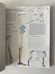 The Anatomy Coloring Book By Wynn Kapit & Elson 3rd Third Edition Paperback