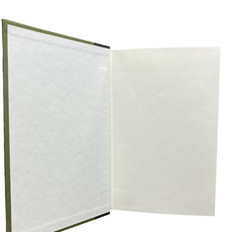 Dictionary of Word Origins by Ayto, John