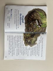 A Beka 1st Grade Animals in the Great Outdoors Set – Teacher and Student Books