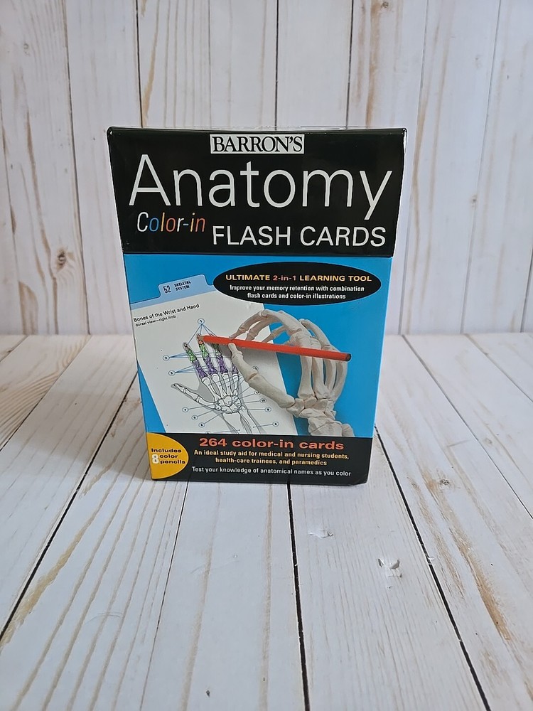 Anatomy Color-in Flash Cards by Kurt Albertine (2009, Cards,Flash Cards)