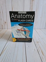 Anatomy Color-in Flash Cards by Kurt Albertine (2009, Cards,Flash Cards)
