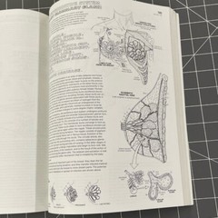 Vintage 1993 Anatomy Coloring Book Wynn Kapit/Lawrence M. Elson 2nd Edition