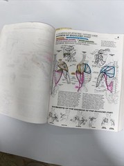 The Anatomy : Coloring Book by Lawrence M. Elson and Wynn Kapit (1997, Trade…