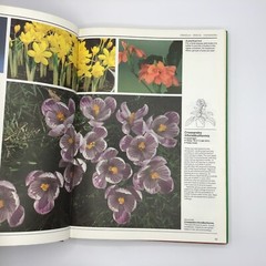 VTG House Plants The Illustrated Encyclopedia Hardcover Book by W. Davidson 1984