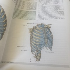 Gray’s Anatomy Ser.: Gray’s Anatomy for Students : With Student Consult…