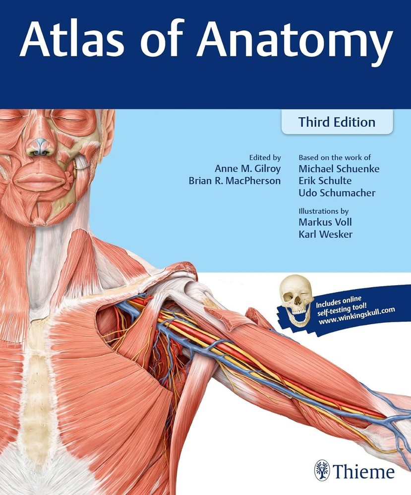 Thieme Anatomy Ser.: Atlas of Anatomy by Brian R. MacPherson, 3rd Edition V GOOD