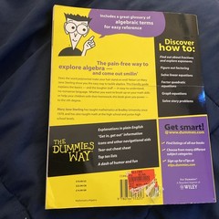 Algebra I for Dummies by Mary Jane Sterling (2001, Trade Paperback)