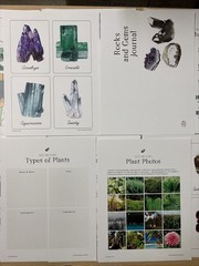 How Wee Learn Homeschool Curriculum Printables Kindergarten Science Animals Set