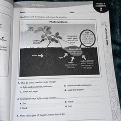 180 Days of Science for Sixth Grade (new) (2018, Trade Paperback)