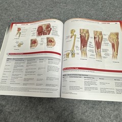 Lippincott Connect Ser.: Grant’s Atlas of Anatomy by Anne M. R. Agur and Arthur