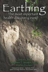 Earthing: The Most Important Health Discovery Ever? – Paperback – VERY GOOD