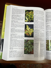 The Hostapedia: An Encyclopedia of Hostas by Mark R. Zilis