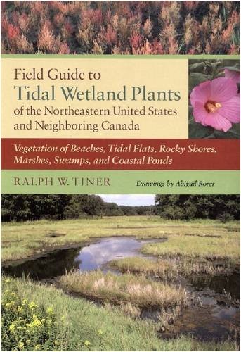 FIELD GUIDE TO TIDAL WETLAND PLANTS OF THE NORTHEASTERN By Ralph W. Tiner