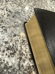 Holy Bible Recovery Version Bonded Leather Black 2003 Reference Notes LSM