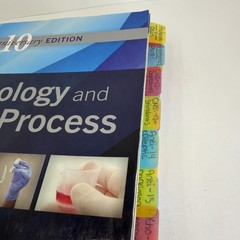 Pharmacology & the Nursing Process 10th Anniversary Edition With Access Code PB