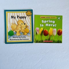 Random Lot Of 15 PK Kinder Leveled Readers Scholastic BOB Harcourt Candlewick
