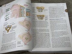 🍏 Moore’s Clinically Oriented Anatomy Ninth Edition 9th Arthur Dalley II PhD