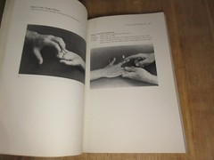 The Muscle Testing Handbook 1984 Occupational Therapy 194 Pages
