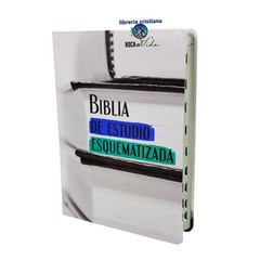 Biblia de Estudio Esquematizada Letra Grande RV1960, imit. piel con índice