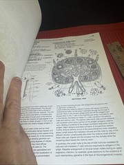 The Anatomy Coloring Book