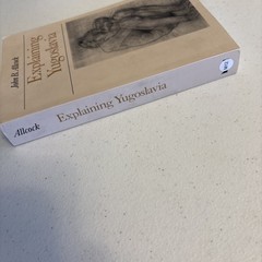 Explaining Yugoslavia by John Allcock (2004, Trade Paperback)