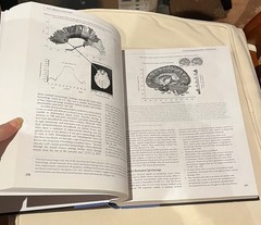 Leading textbook for all neurologists, and brain-related physicians. New unused