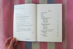 Constitutional Reform and The Future Of The Republic Of China~ Hardcover Feldman