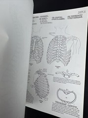 The Anatomy Coloring Book – Paperback By Kapit, Wynn 1977 Unused
