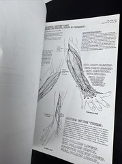 The Anatomy Coloring Book – Paperback By Kapit, Wynn 1977 Unused