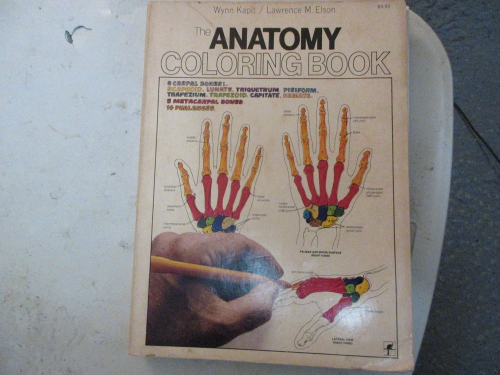 The Anatomy Coloring Book – Paperback By Kapit, Wynn – USED*
