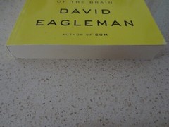 Incognito: The Secret Lives of the Brain by Eagleman, David – PB/VG