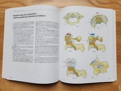 Anatomie Fonctionnelle – A.I. Kapandji – 7th Edition – 3-Volume Set – French