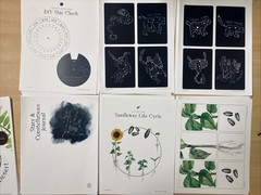 How Wee Learn Homeschool Curriculum Printables Kindergarten Science Animals Set