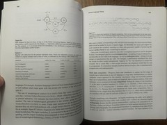 Introduction to Natural Language Processing (Adaptive Computation and Machine Le