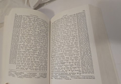 Interlinear Greek English New Testament by George Ricker Berry