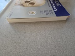 Thieme Atlas of Anatomy Ser.: Head and Neuroanatomy by Erik Schulte, Lawrence…