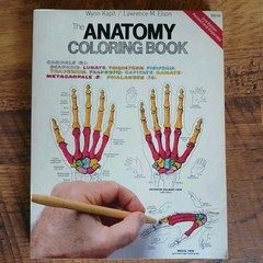 Lot Of 3 Science Coloring Books Biology Anatomy Zoology Vintage