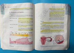Language of Medicine Ser.: Language of Medicine by Davi-Ellen Chabner (2006)