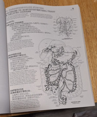 The Anatomy Coloring Book (2nd Edition), Kapit, Wynn; Elson, Lawrence M., Used;