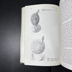 General Nematology Armand Maggenti 1981 Springer HC 135 Figures