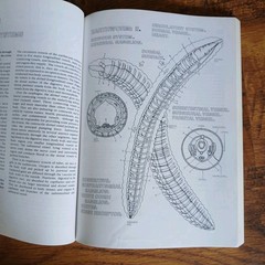 Lot Of 3 Science Coloring Books Biology Anatomy Zoology Vintage