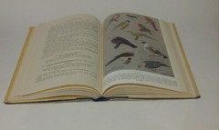 Handbook Of The Birds Of India And Pakistan Second Edition Vol. 3 HC