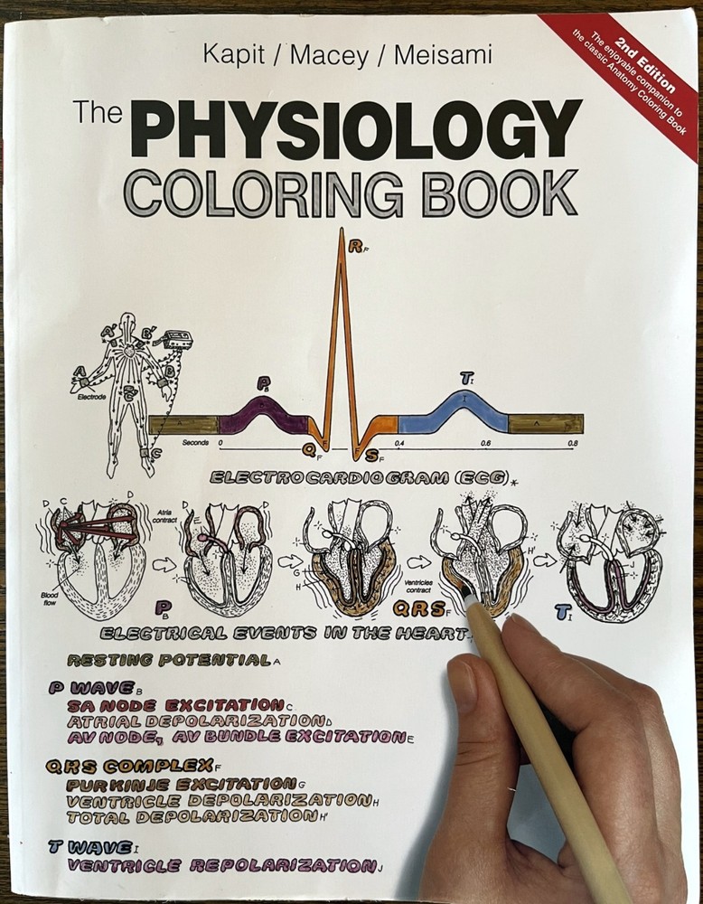 The Physiology Coloring Book 2nd Edition by Kapit / Macey / Meisami : VG